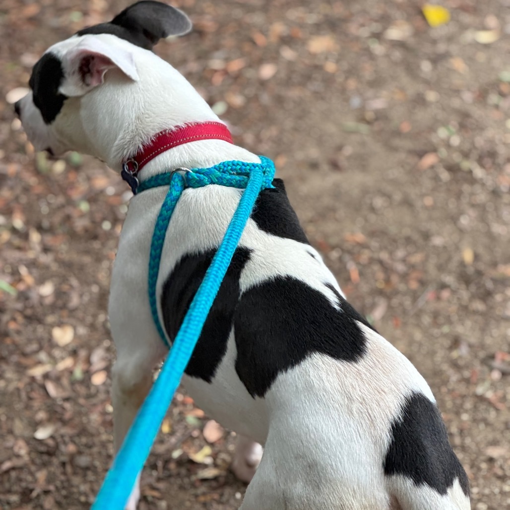 Lady C000-163- Chino Hills Location