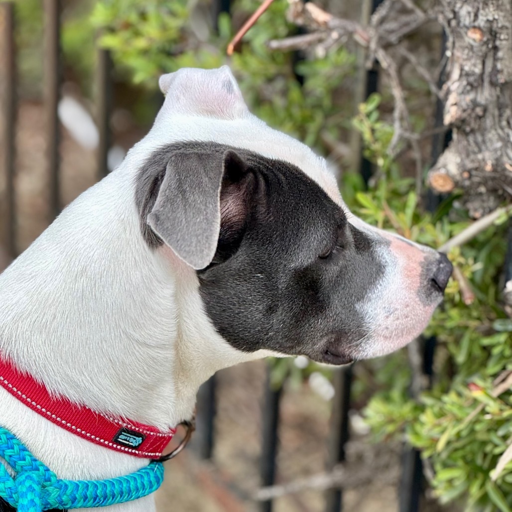 Lady C000-163- Chino Hills Location