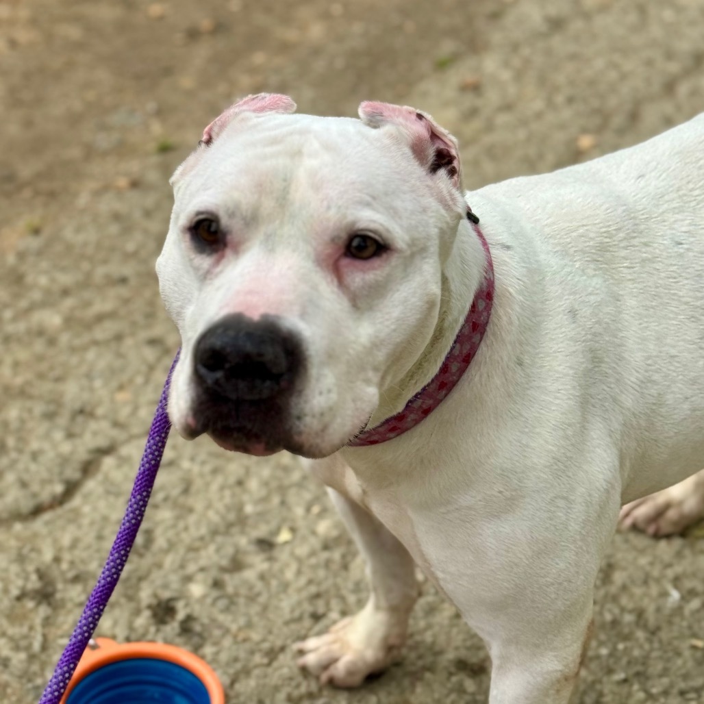 Athena(C000-090) -*By Appointment*City of Industry Location