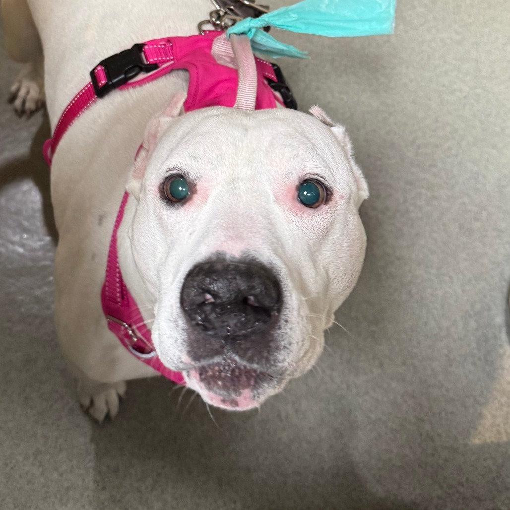 Athena(C000-090) -*By Appointment*City of Industry Location
