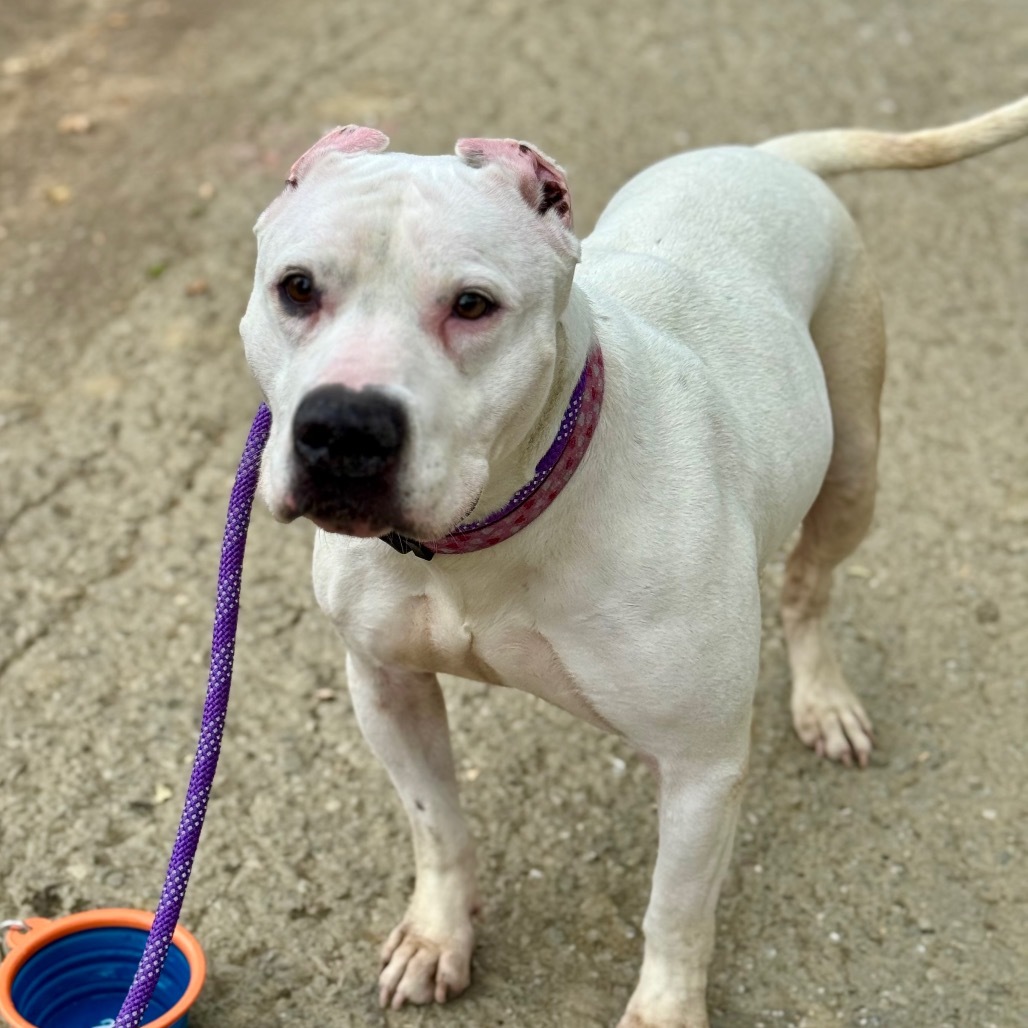Athena(C000-090) -*By Appointment*City of Industry Location