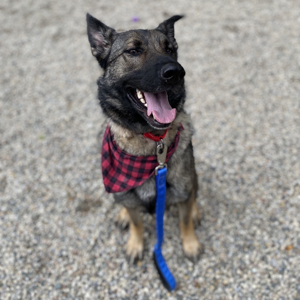 Winnie