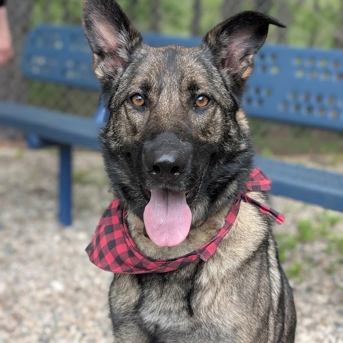 Winnie