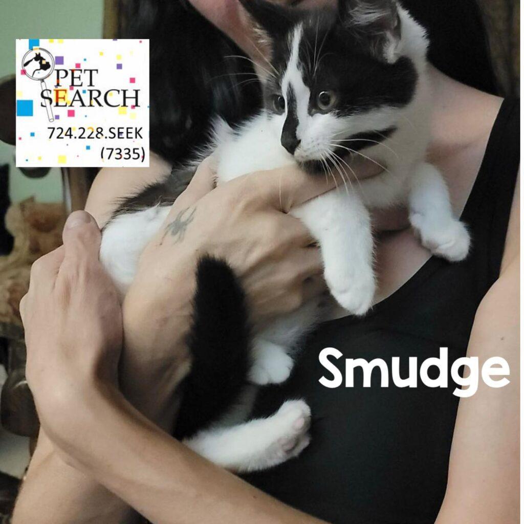 Smudge