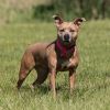 Marnie photo 1