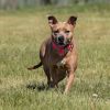 Marnie photo 3