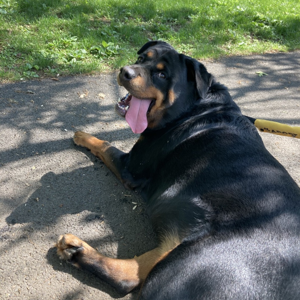 Ruby