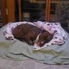 Hans photo 2