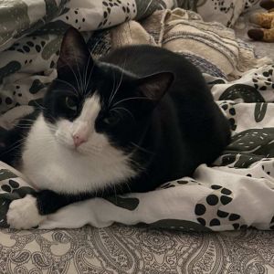 Meet Joey AKA Big Poppa Yes he likes it when you call him Big Poppa Like The Notorious BIG