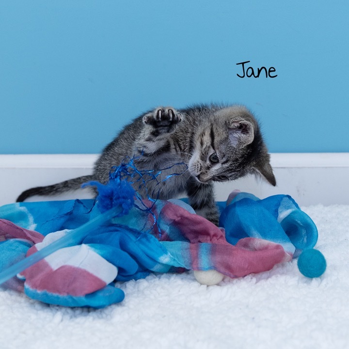 Jane