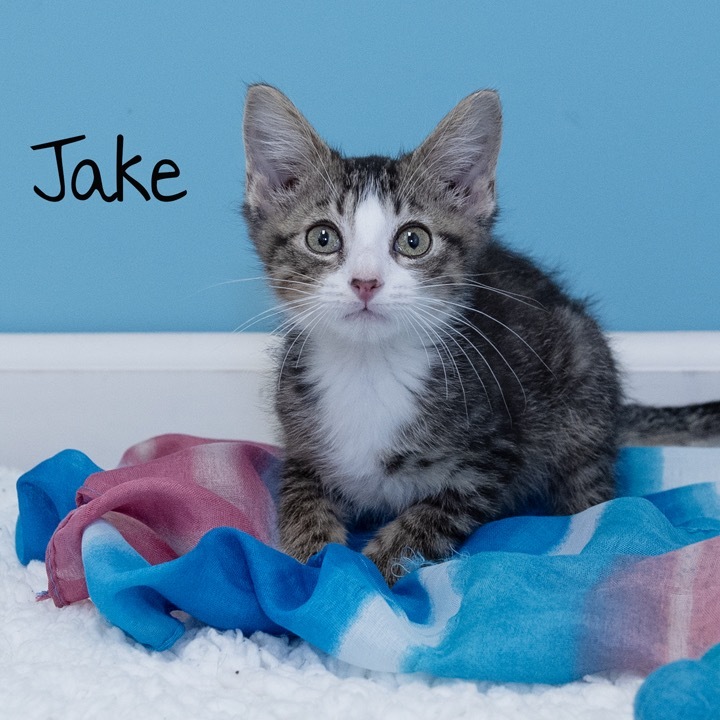 Jake