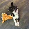Marlowe Rufus photo 6