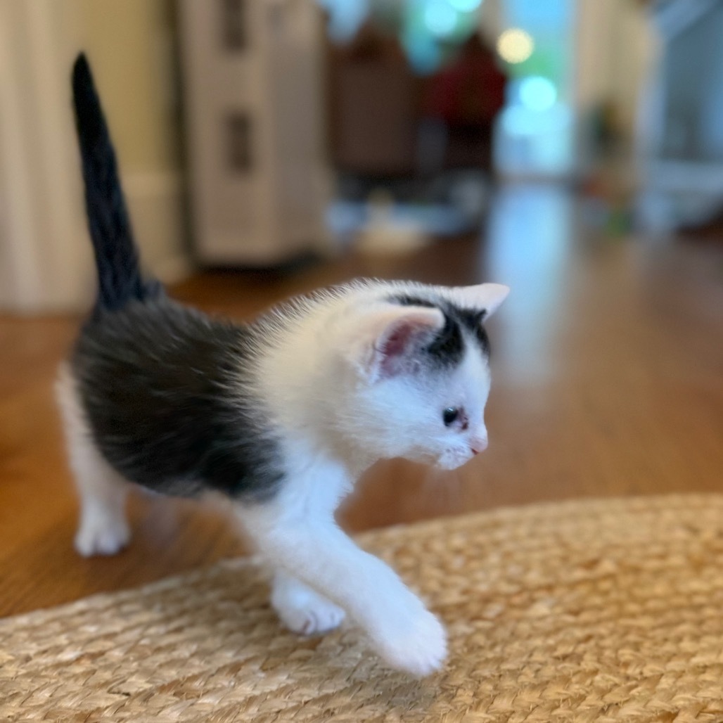 Zion