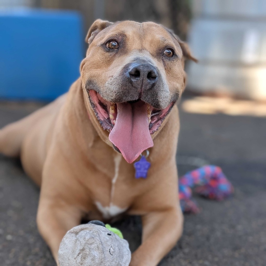 Lukas