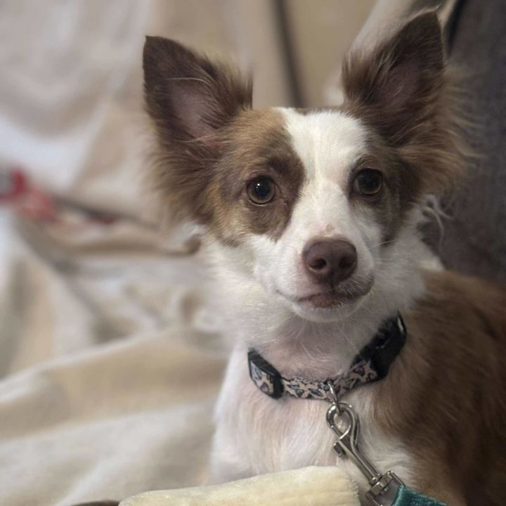 Chloe 5