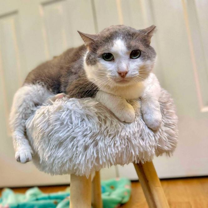 Nimbus