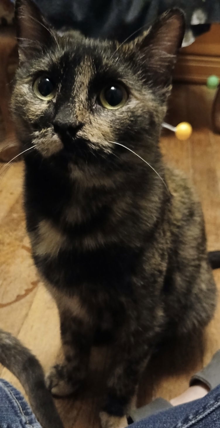 Louise