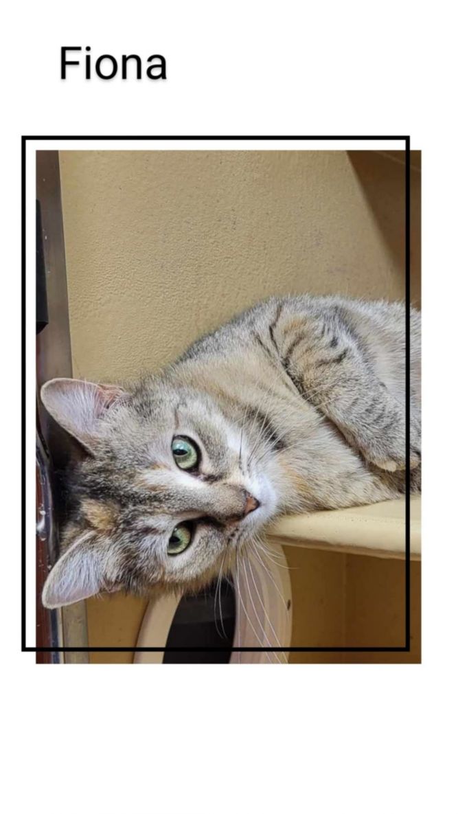 Fiona