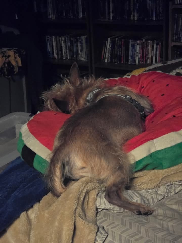 Milo