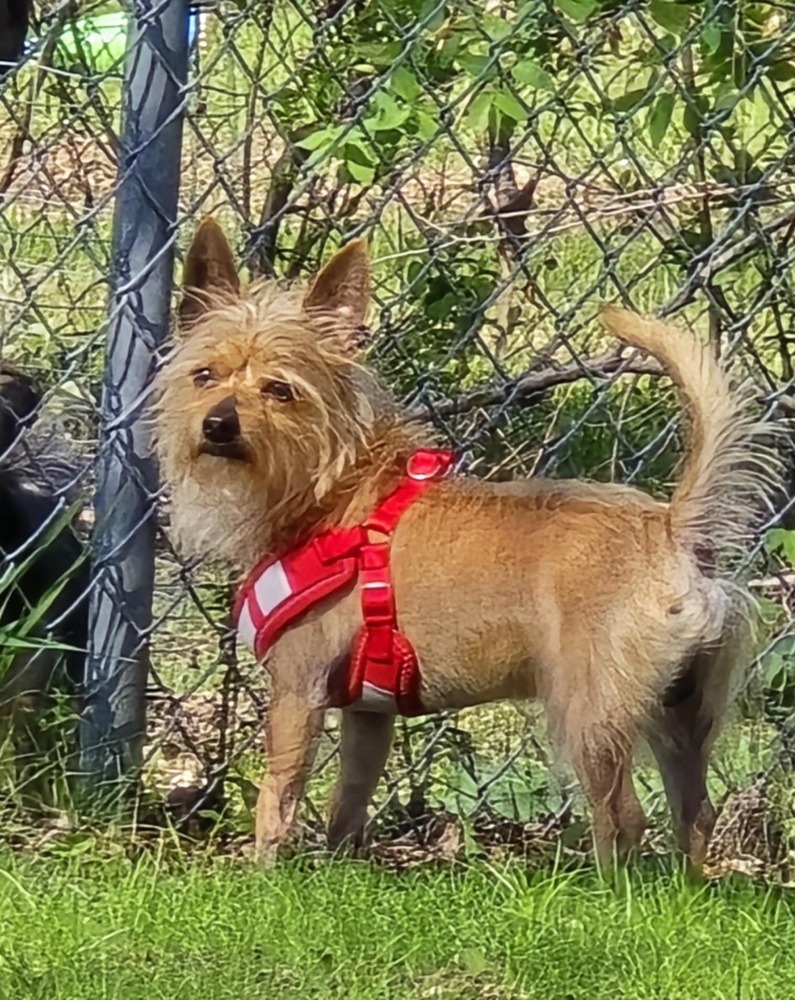 Milo