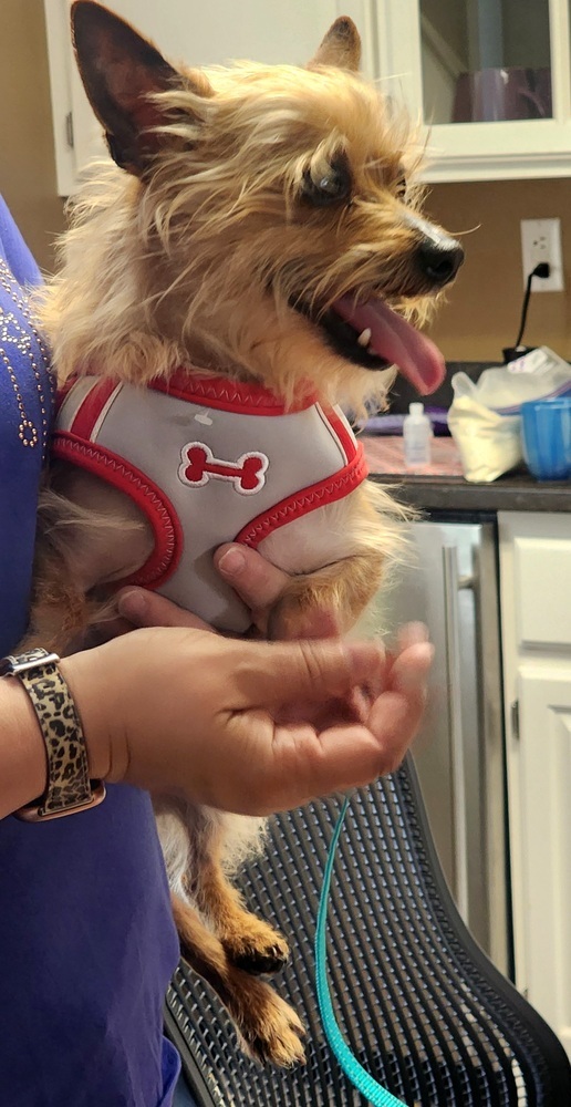 Milo 4