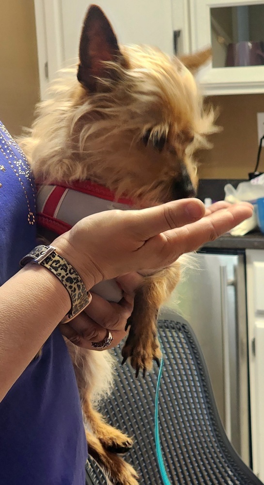 Milo 5