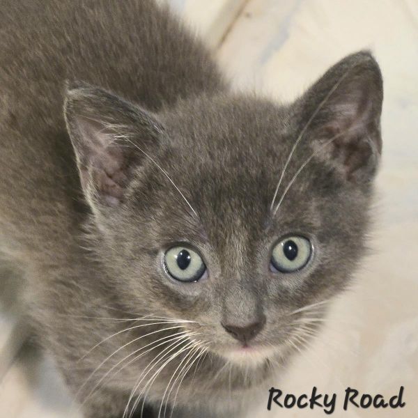 Rocky Road