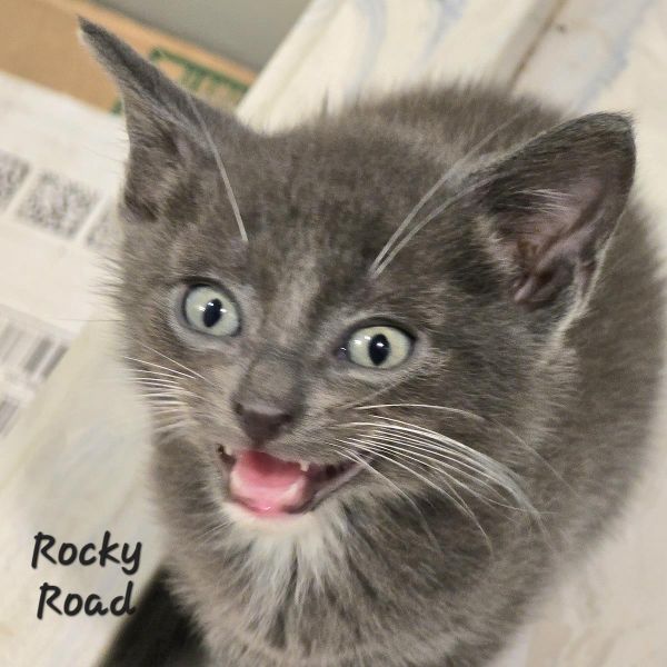 Rocky Road thumbnail 2