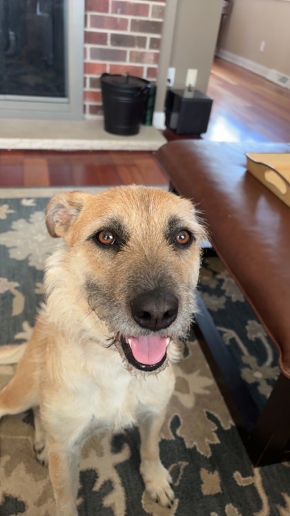 Greta