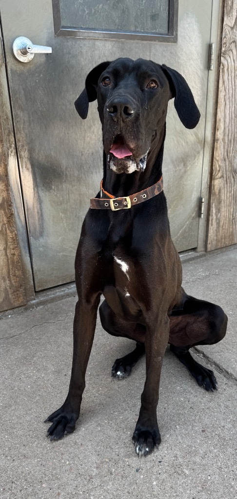 Gunner
