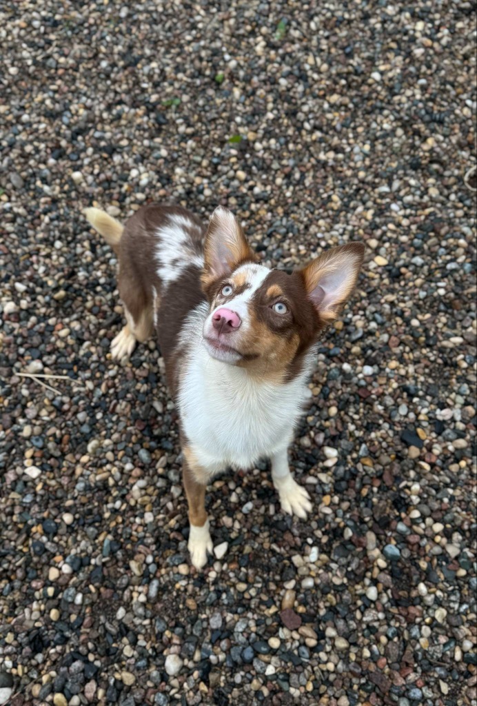 Fiona
