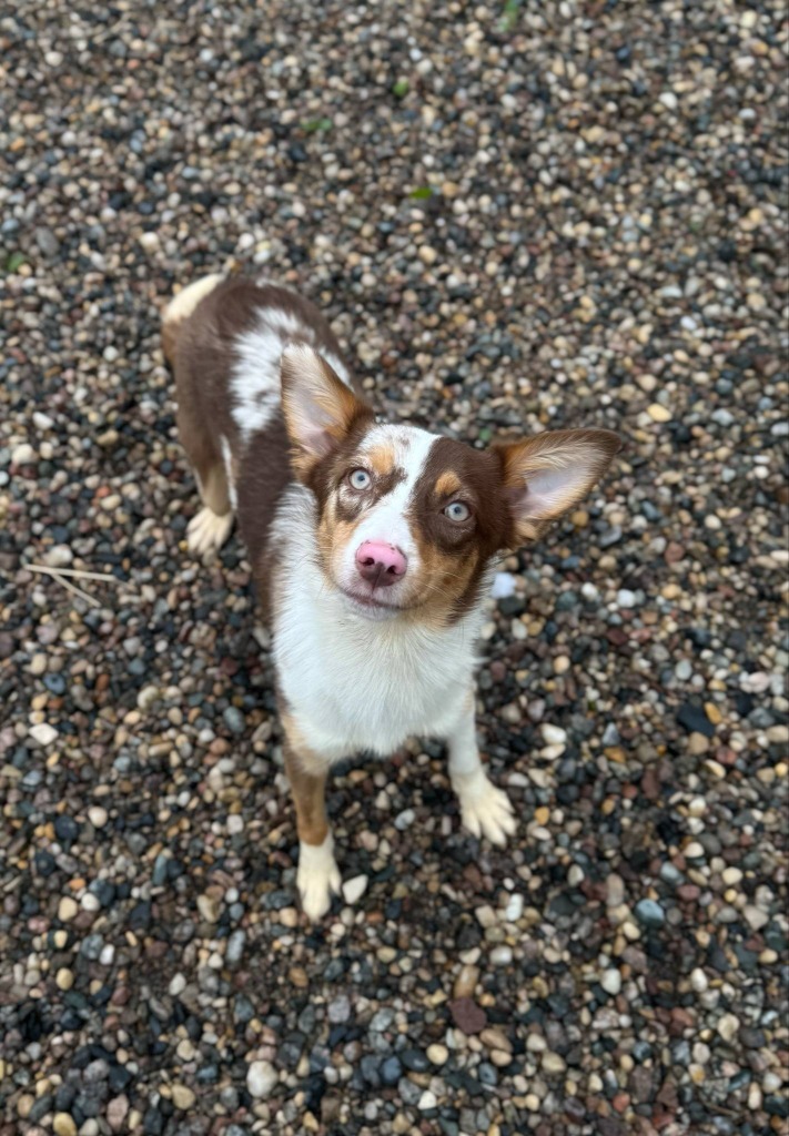Fiona