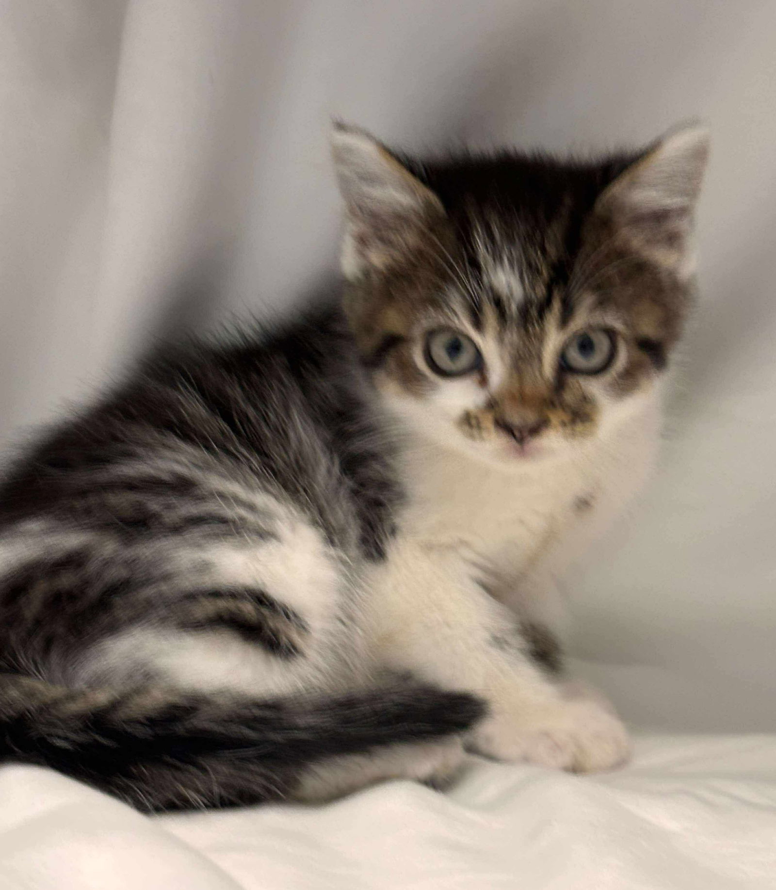 Keats: At shelter