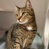 Ember -- Bonded Buddy With Ivy photo 2