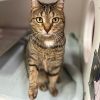 Ember -- Bonded Buddy With Ivy photo 3