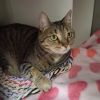 Ember -- Bonded Buddy With Ivy photo 4