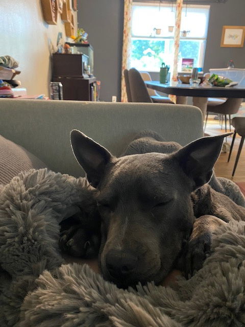 Grey