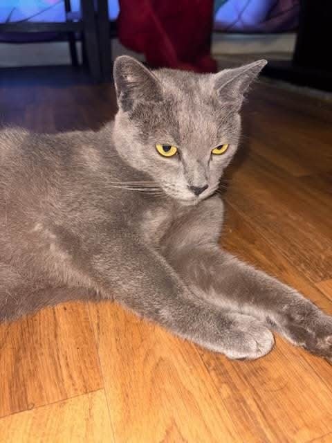 Smokey
