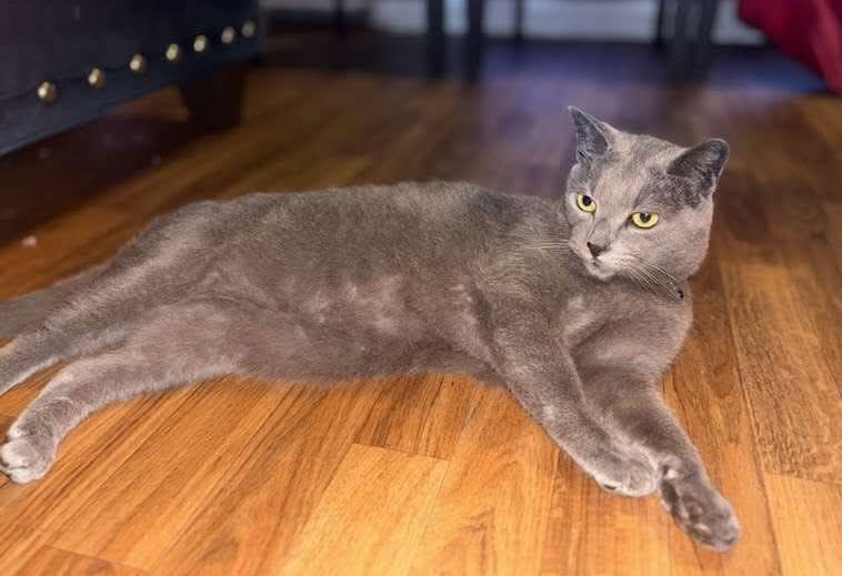 Smokey