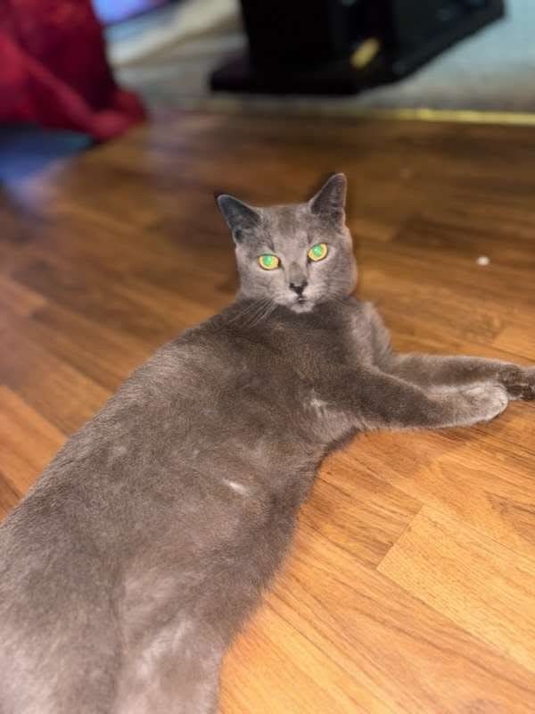 Smokey
