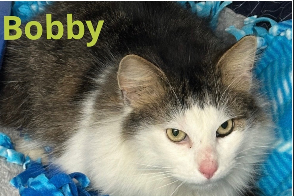 BOBBY