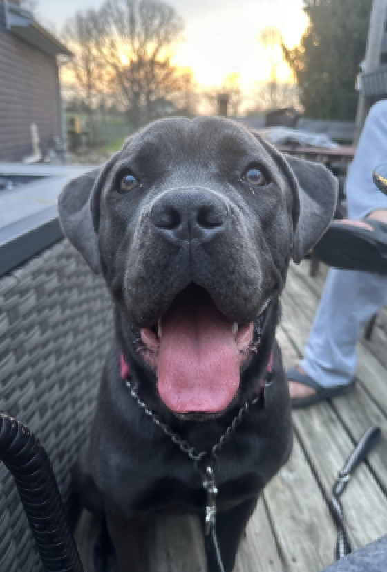 Coco *Courtesy Post*