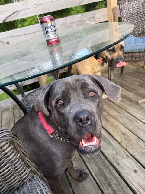 Coco *Courtesy Post*