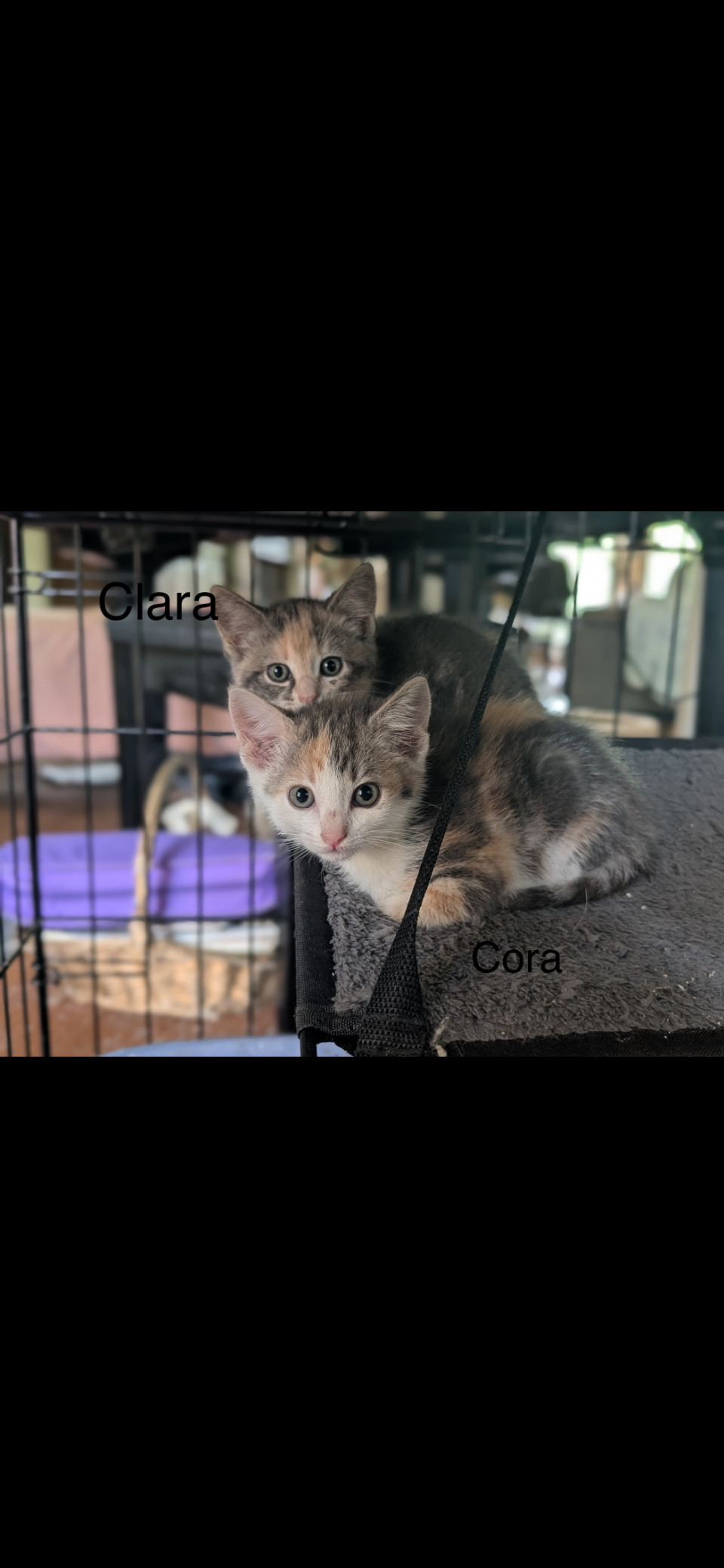 Clara (th)