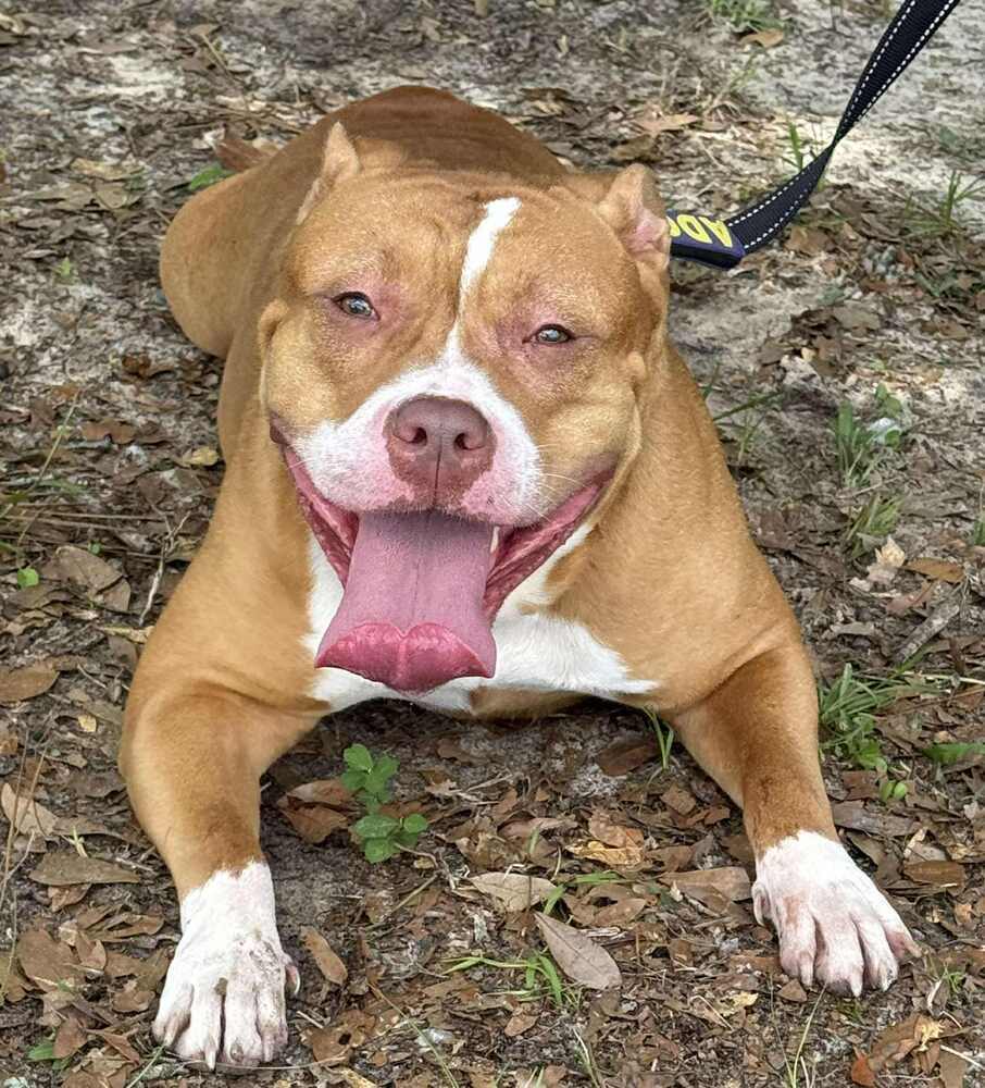 Delilah