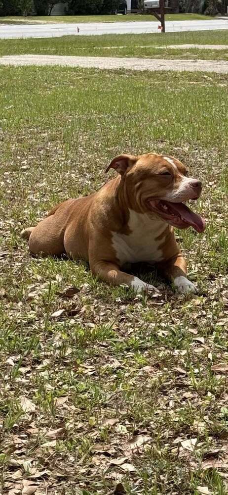 Delilah