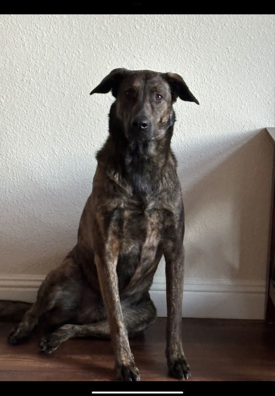 Xena
