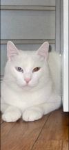Whitey photo 1