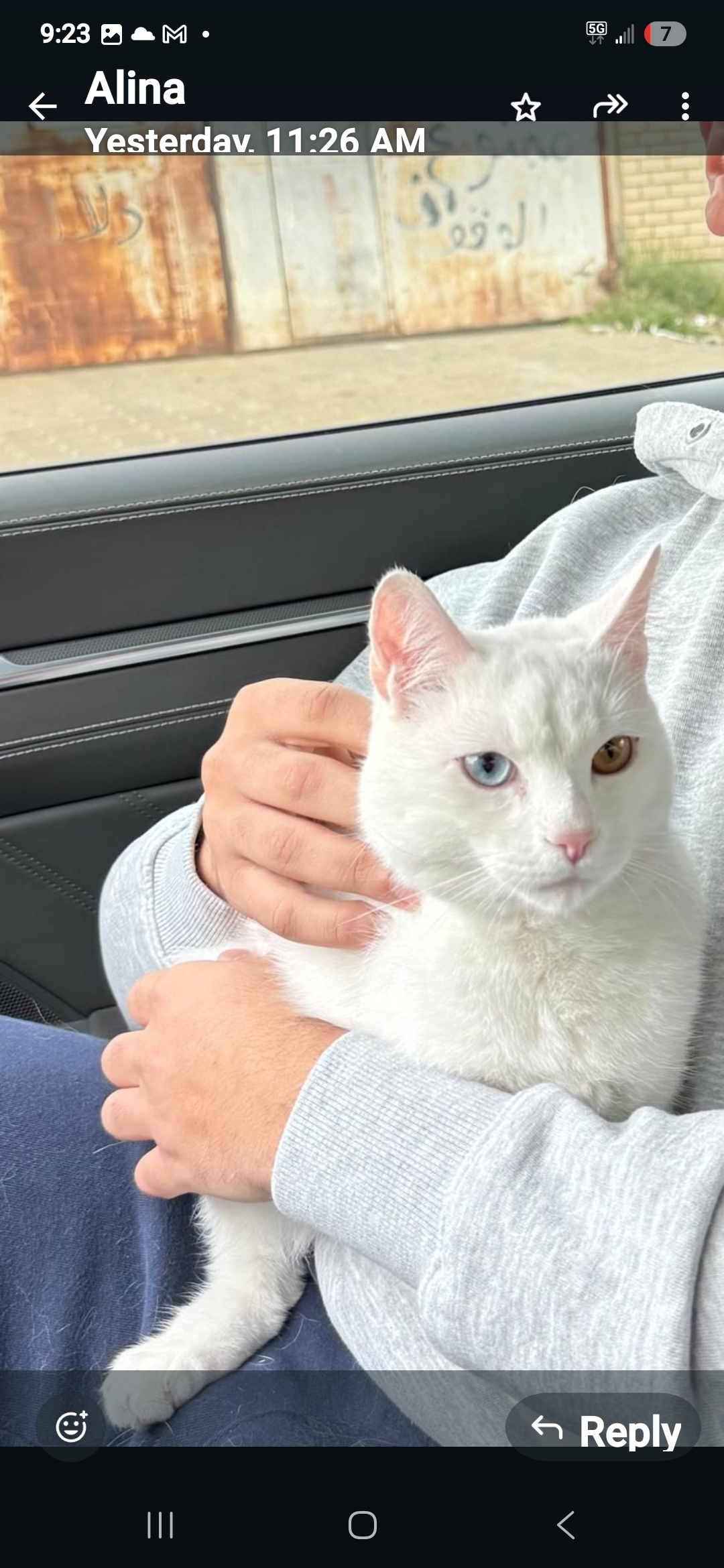Whitey