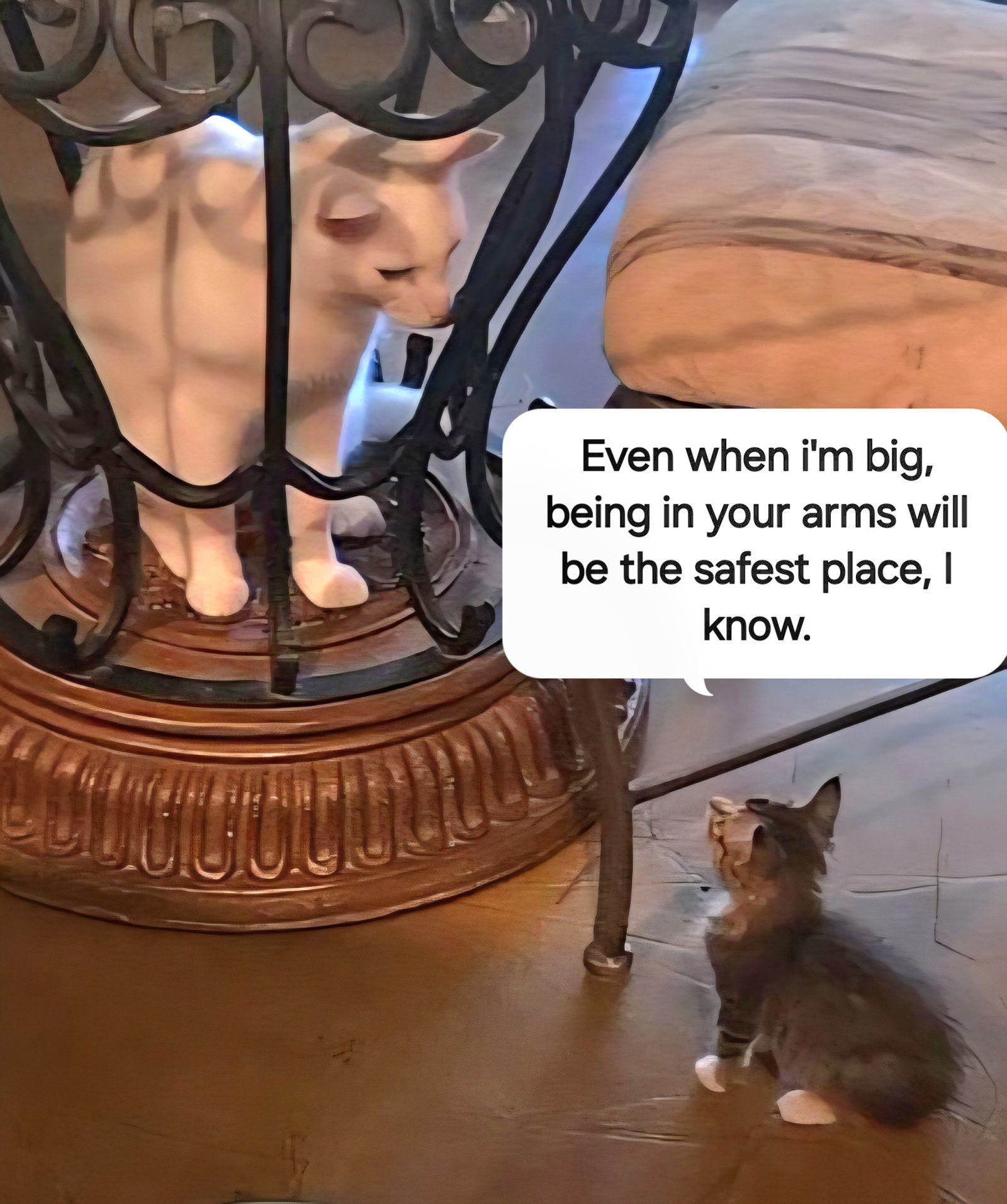 Banjo